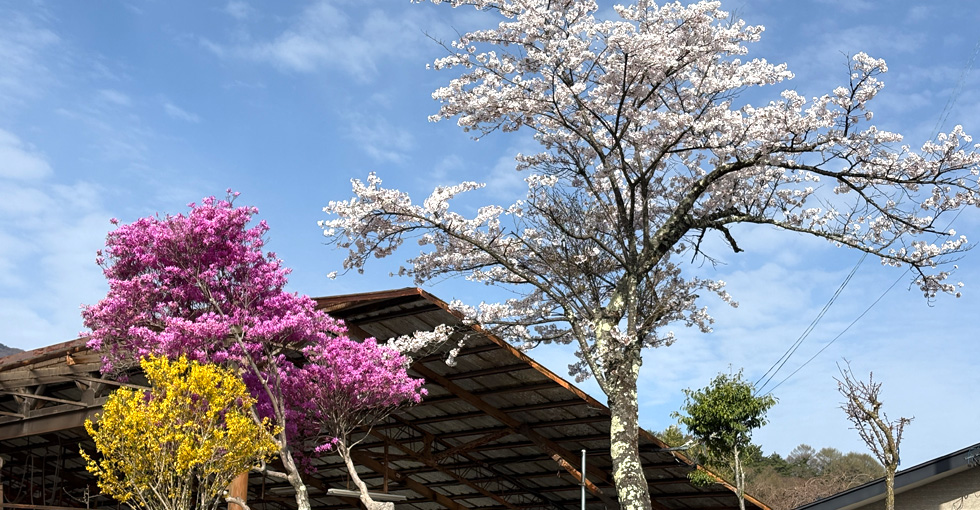 水道修理・水回りリフォーム「窪田鉄工設備」